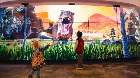 Children interact with a Dino wall exhibit.